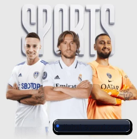 digital-9youxi.com.cn APP